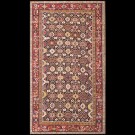 Caucasian - Shirvan #40-2811